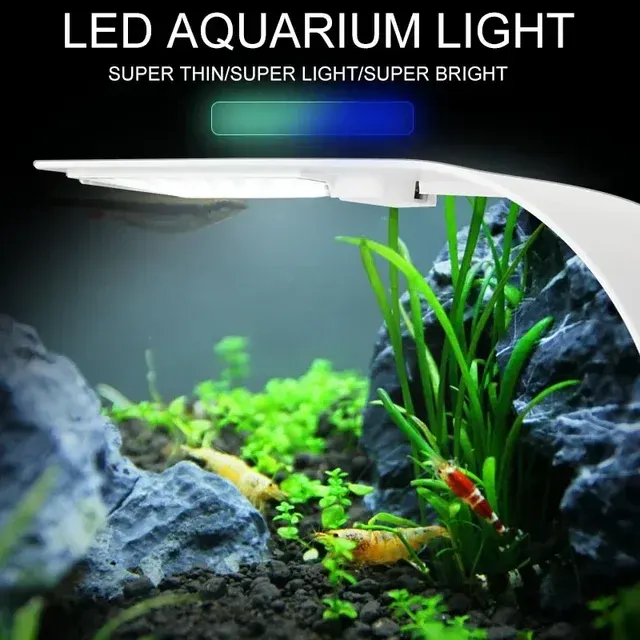 Aquarium-Clip-Lampe 2
