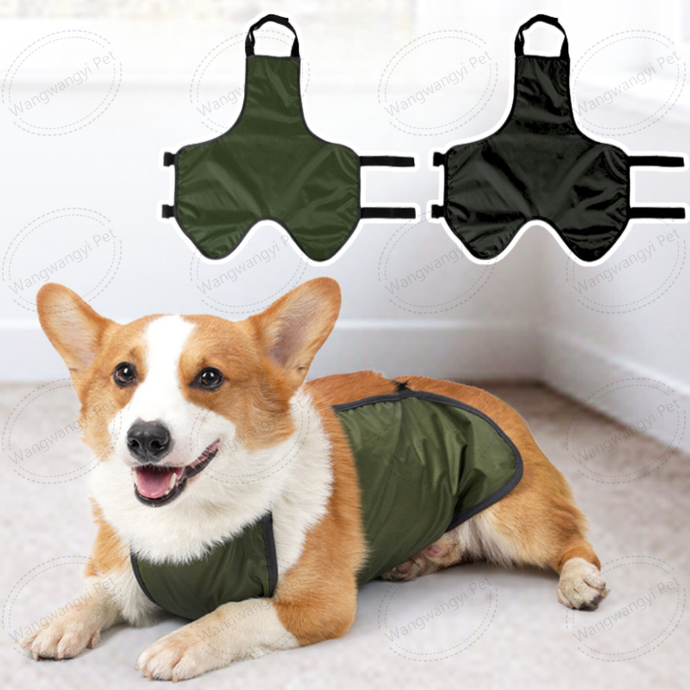 Verstellbarer Bauchschutz für Dackel und Corgis