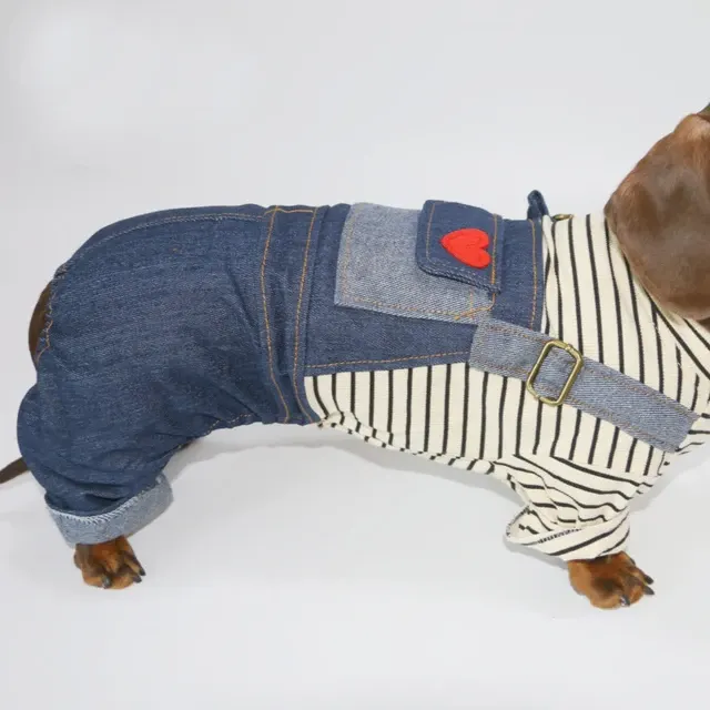Hunde-Jeansoverall 4