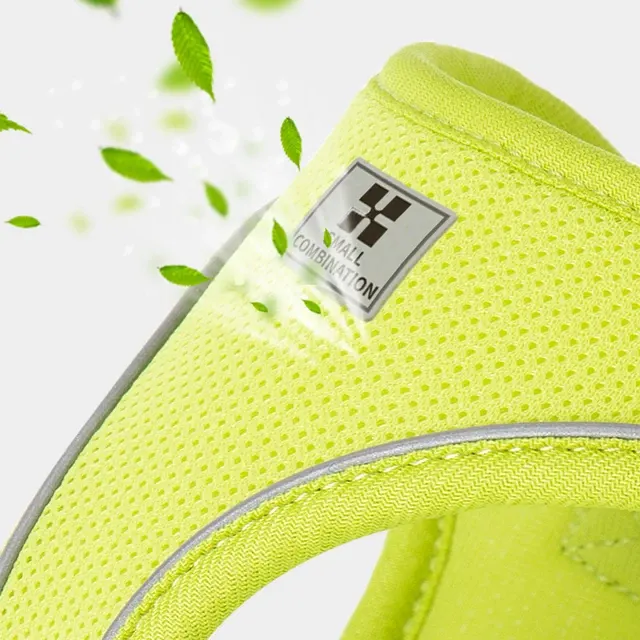 Kleines Hundegeschirr-Set 3