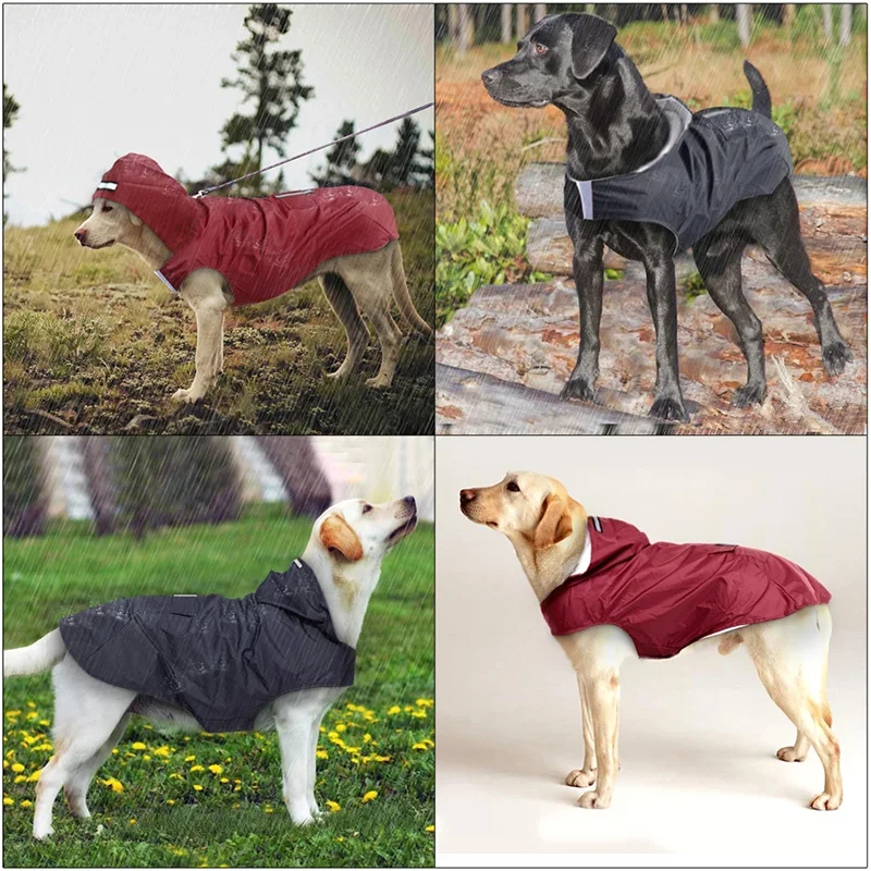 Hunde-Regenmantel 3