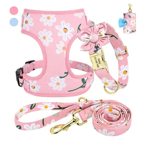 Personalisiertes Hundehalsband-Set