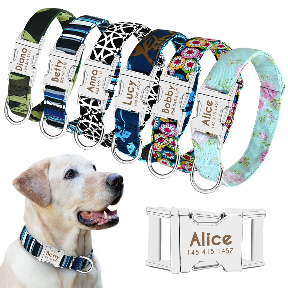 Personalisiertes Nylon-Hundehalsband mit Gravur 2