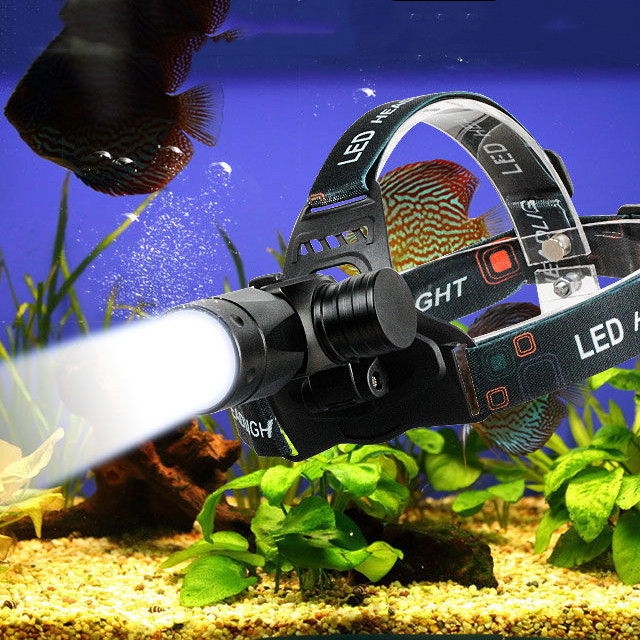 Tauchlampe