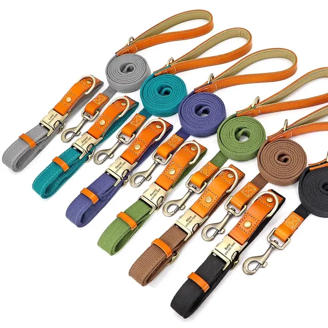 Personalisiertes Hundehalsband-Set 4