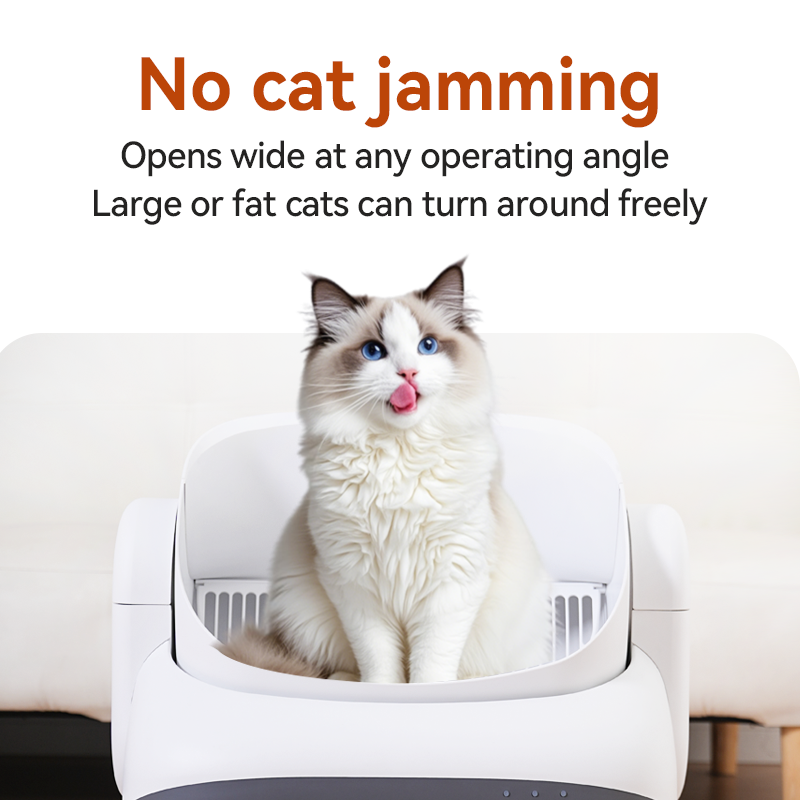 Katzentoilette mit Auto-Öffnung und App 3