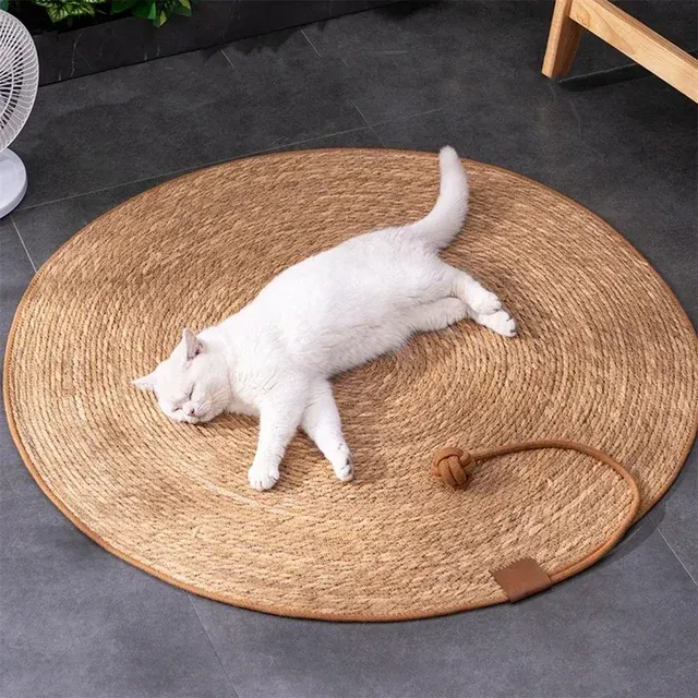 Katzen-Kratzbrett 2
