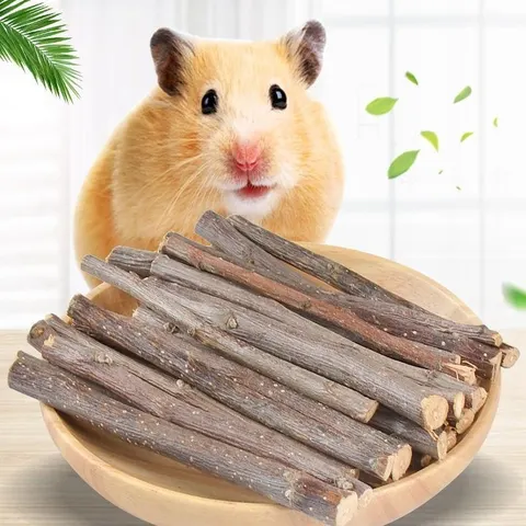 Hamster-Kauast