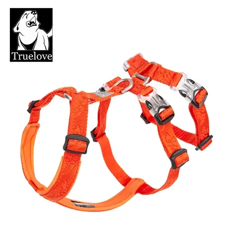 Personalisiertes Hundegeschirr