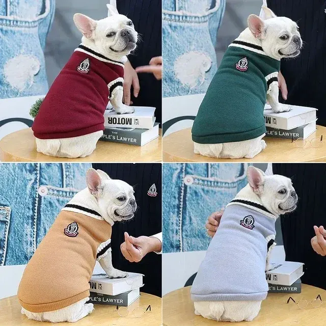 Hunde-V-Ausschnitt-Pullover 4