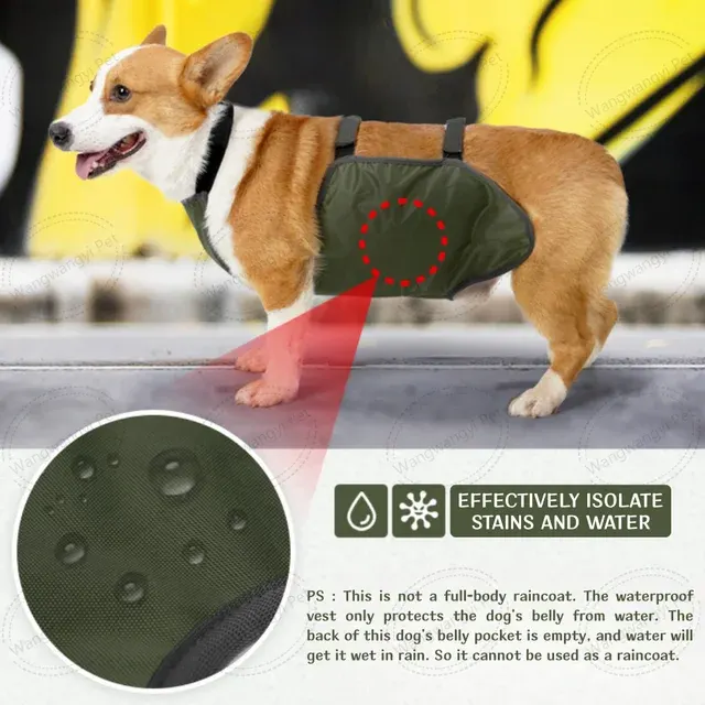 Verstellbarer Bauchschutz für Dackel und Corgis 4