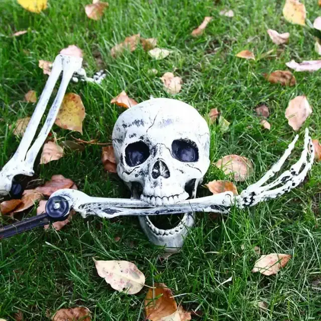 Realistische Totenkopf-Requisite 3