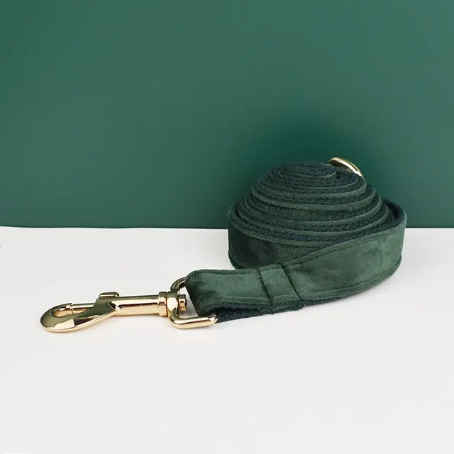 Hundehalsband-Set 3