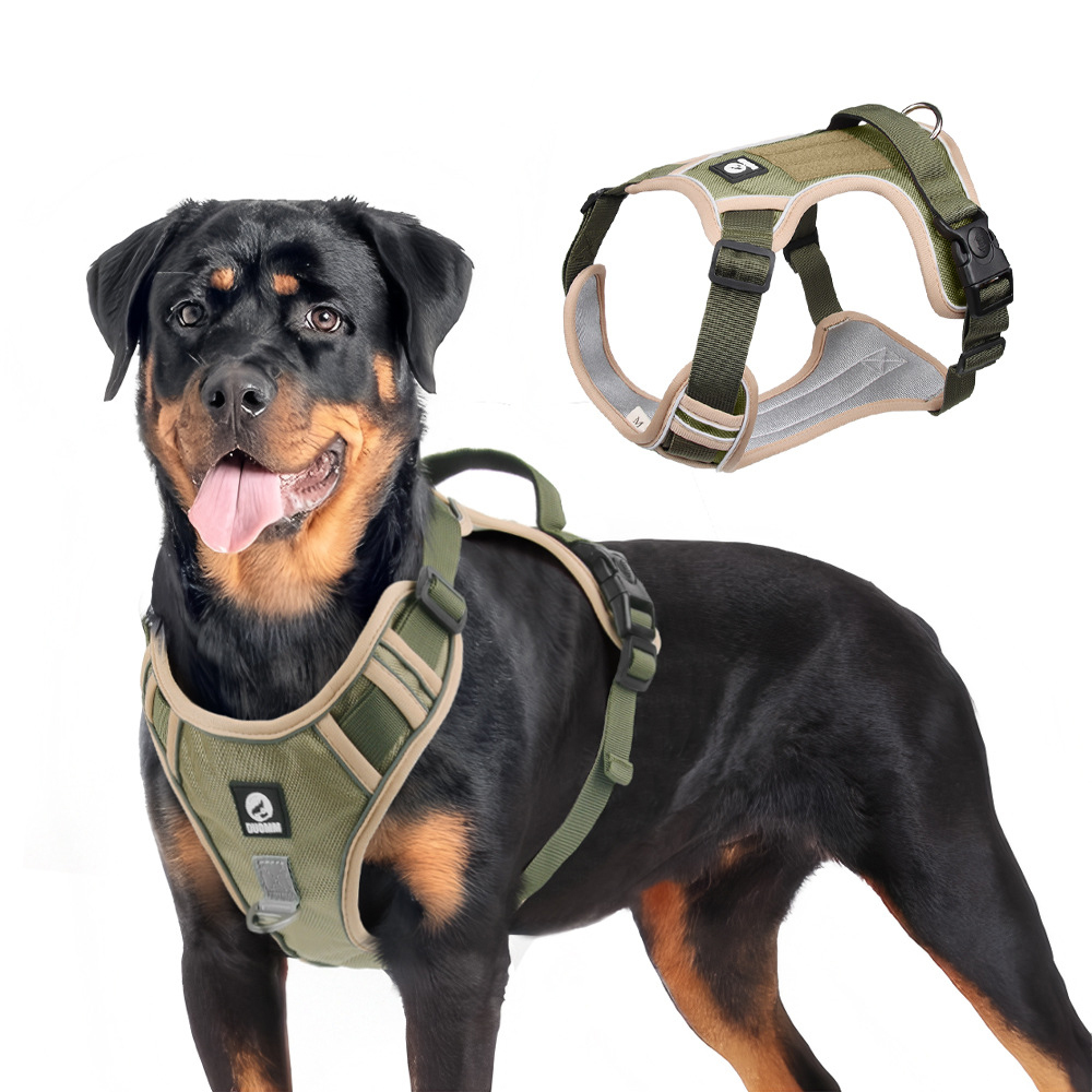 Hundegeschirr