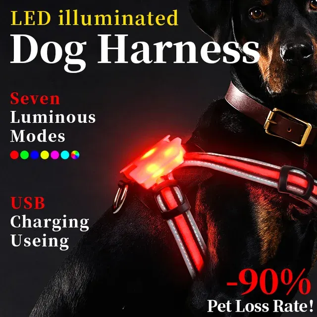 LED-Hundegeschirr 2