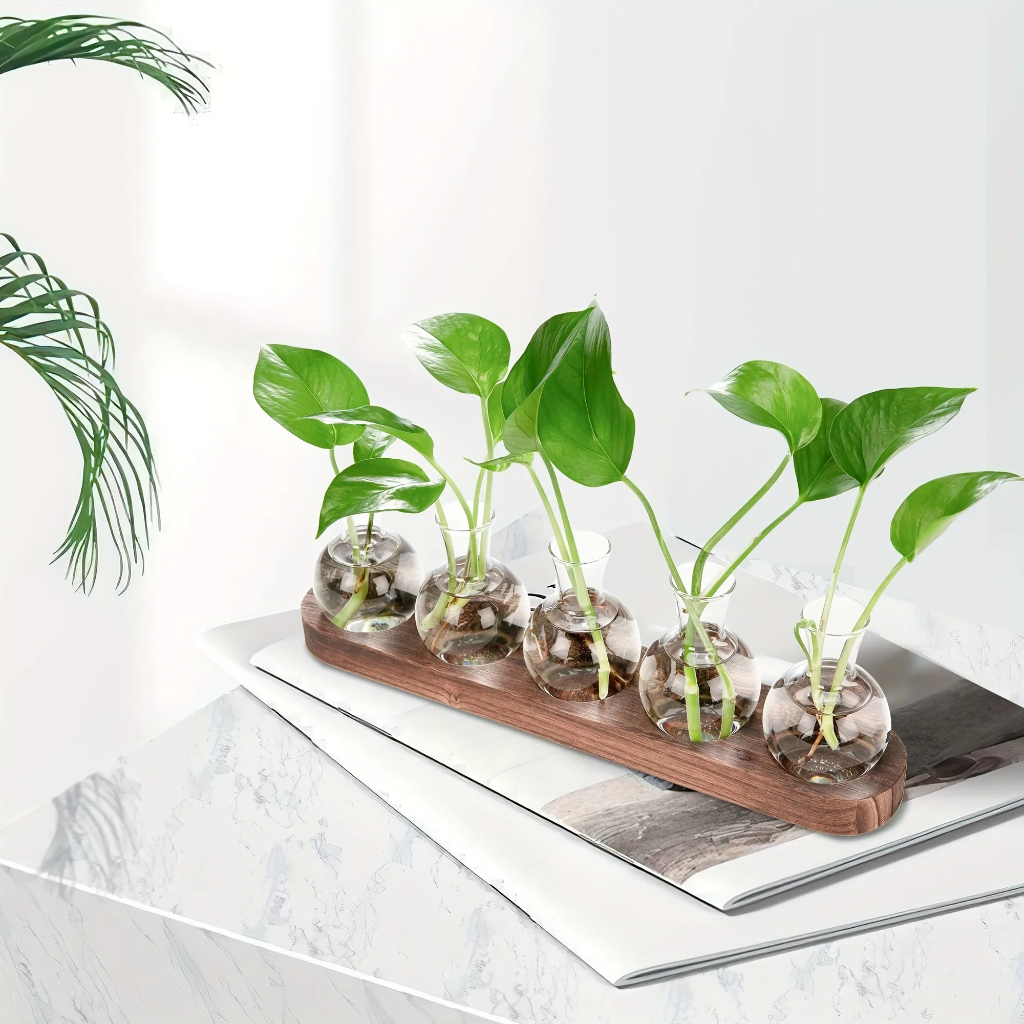 Glas-Terrarium-Vase 2