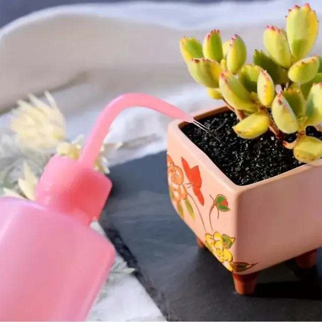 Pflanzensprühflasche 2
