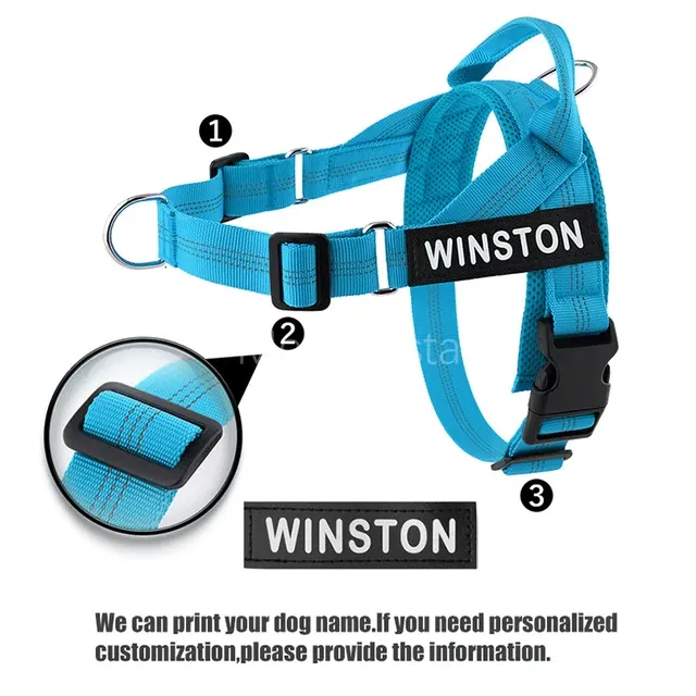 Personalisiertes Hundegeschirr 2