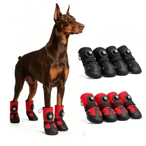 Hunde-Schneeschuhe