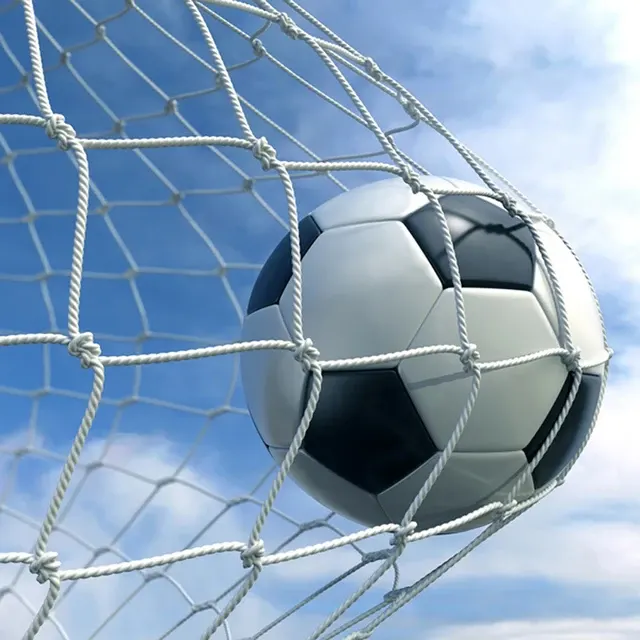 Fußballtornetz 4