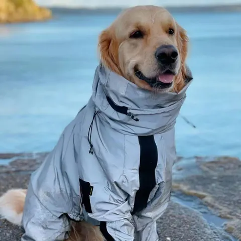 Hunde-Regenmantel