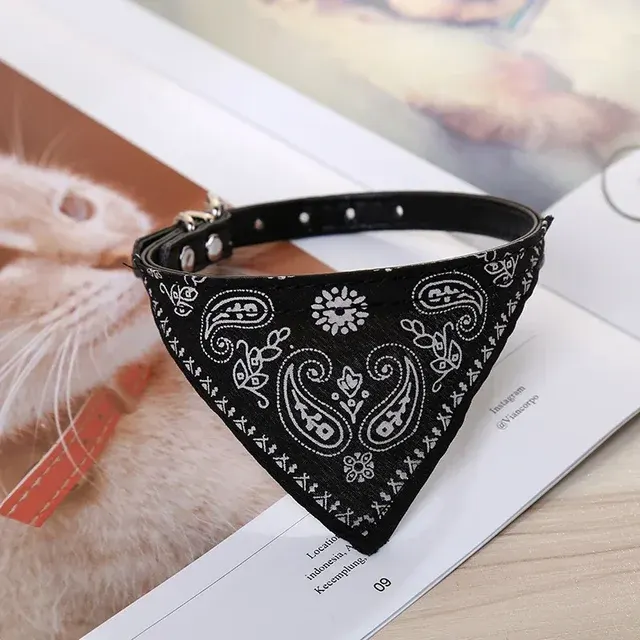 Hundehalsband mit Schal 3