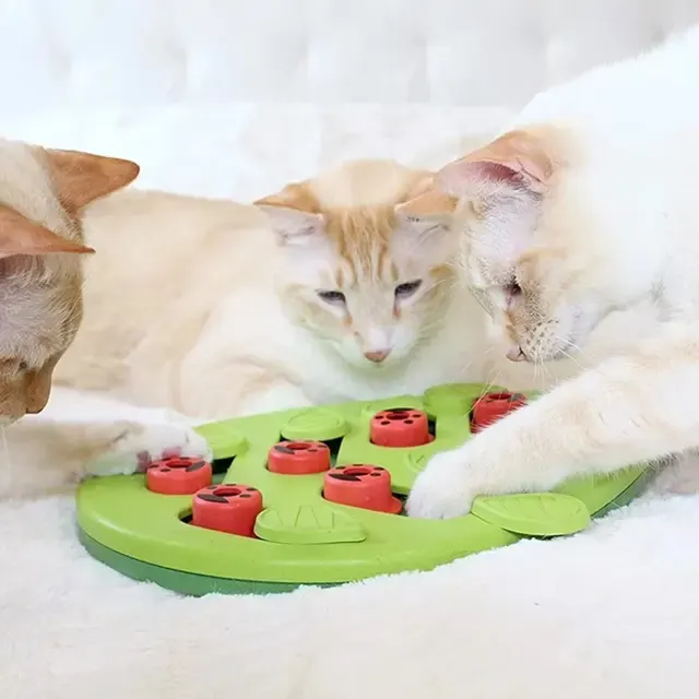 Katzen-Futterpuzzle 3