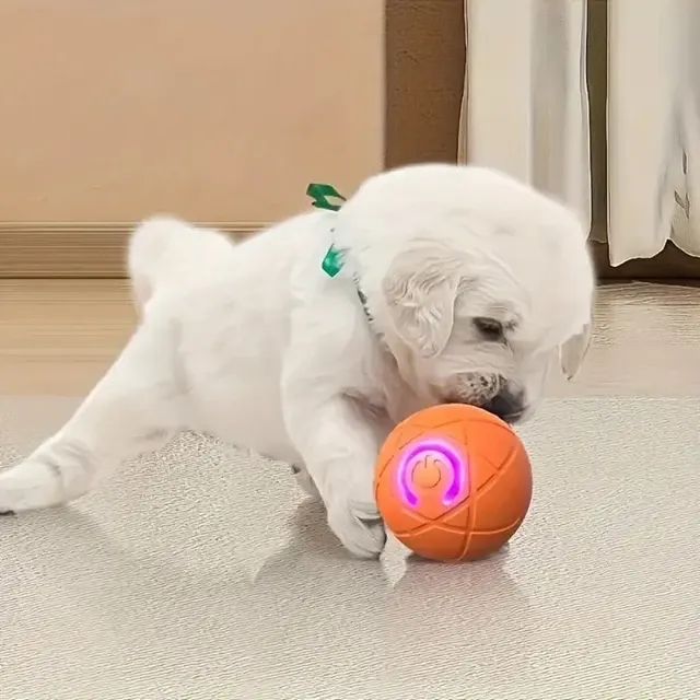 Hundespielzeug Ball 3