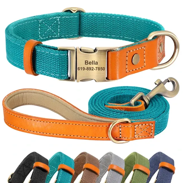 Personalisiertes Hundehalsband-Set 1