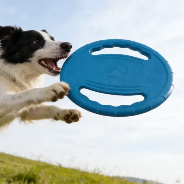 EVA-Hunde-Frisbee 3