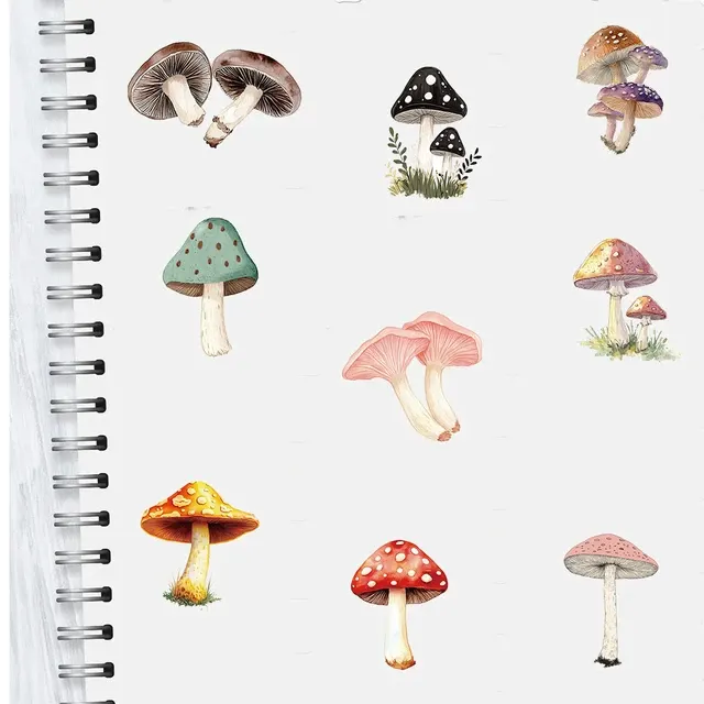 Dekoaufkleber-Set 1