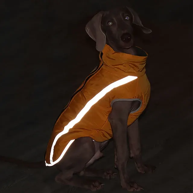 reflektierende Hundejacke 3