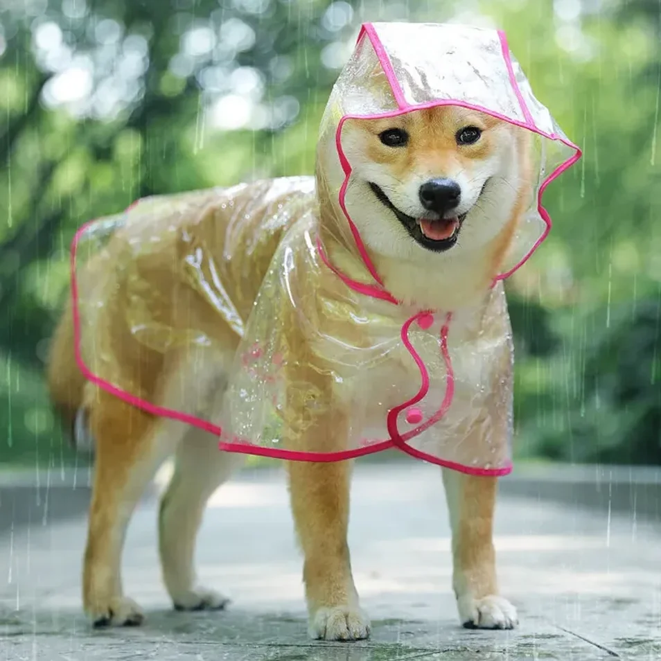 Hunde-Regenmantel 3