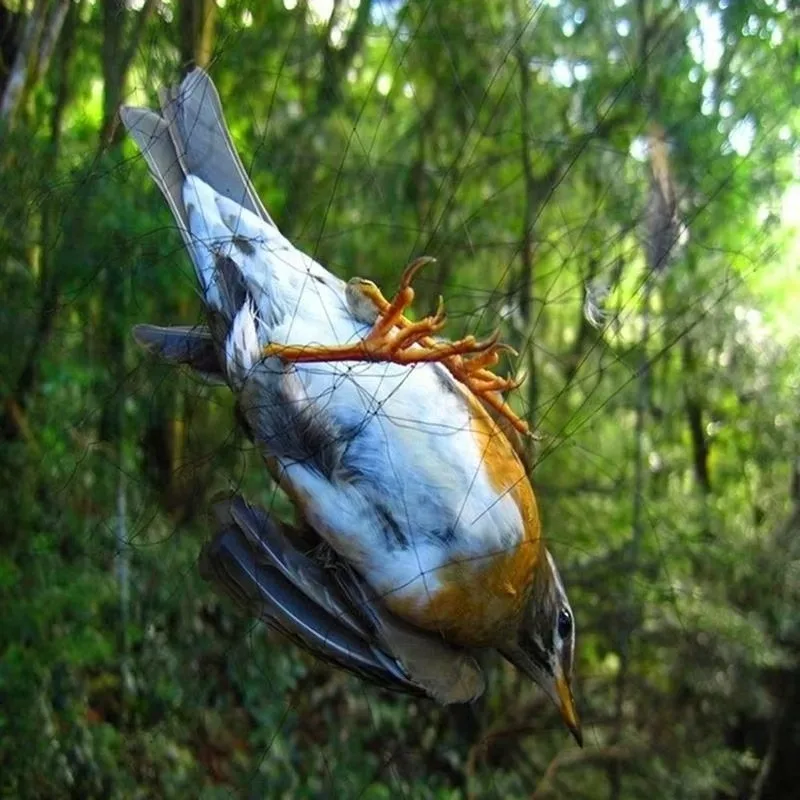 Vogelschutznetz aus Maschenmaterial für Obstbäume 3