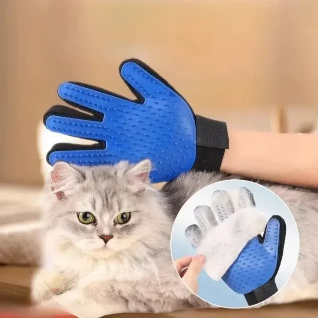 Haustier-Pflegehandschuh 4