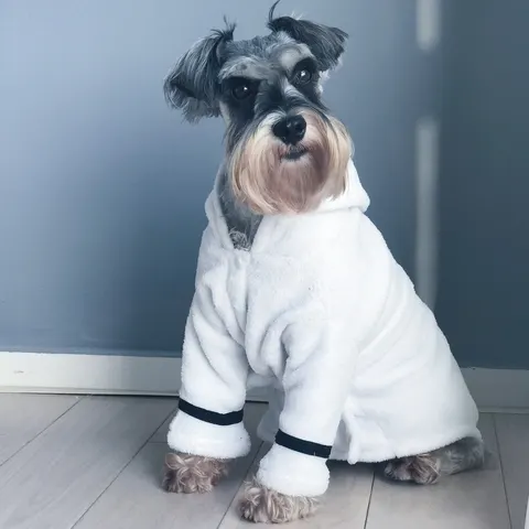 Hundebademantel