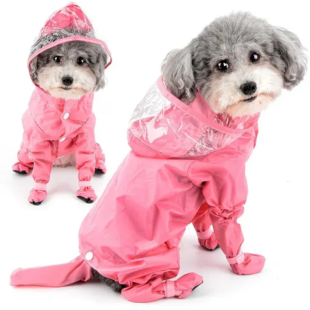 Hunde-Regenmantel 4
