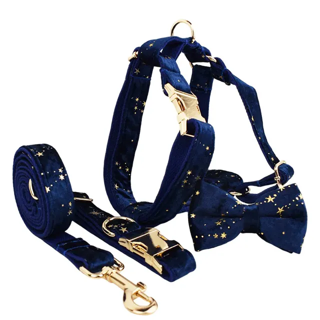 Hundehalsband 2