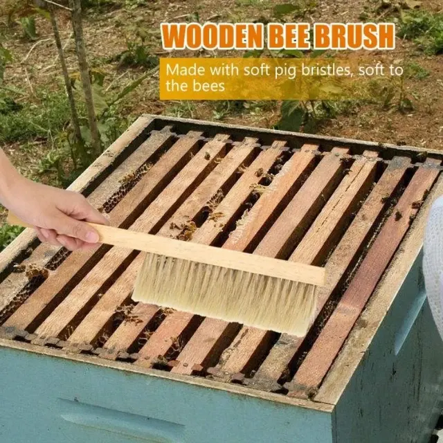 Holz-Bienenbürste 2