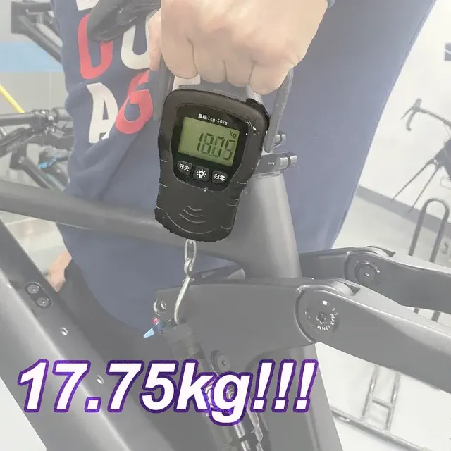 E-Mountainbike 2