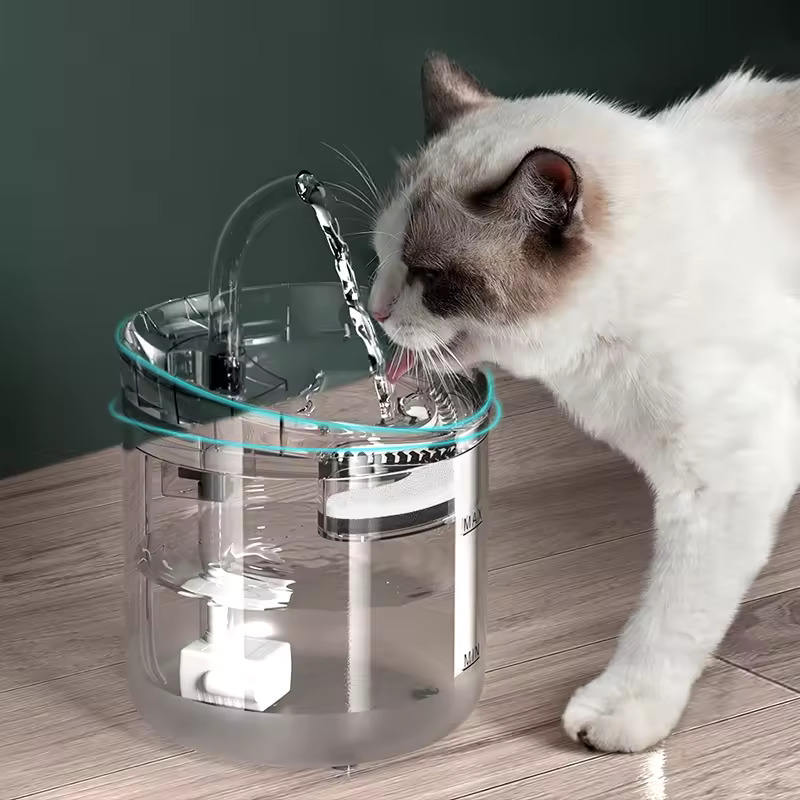 Leiser Katzen-Trinkbrunnen 2 Liter Automatik 3