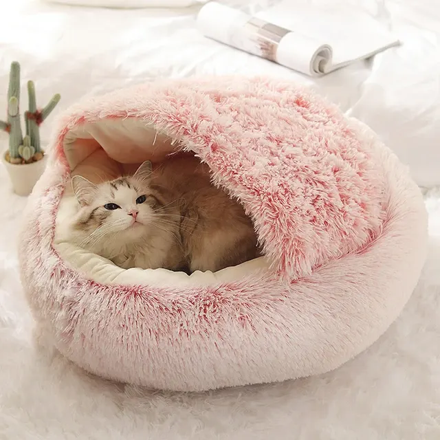 Katzenbett 2