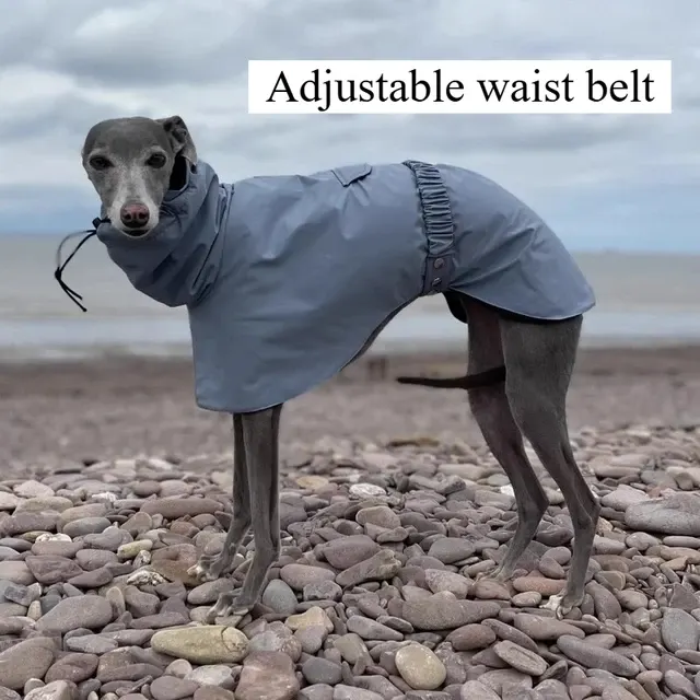 Hunde-Regenmantel 4