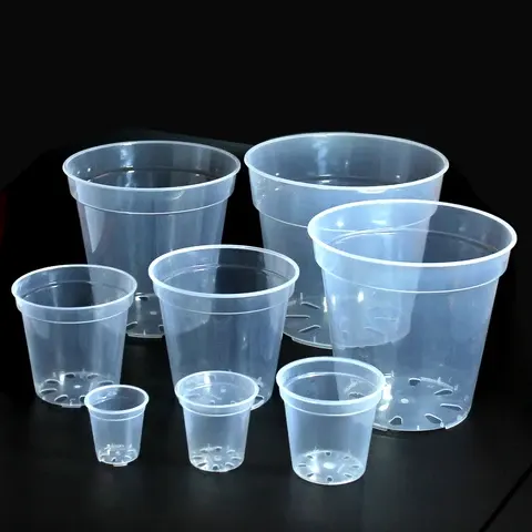 Transparenter Anzuchttopf