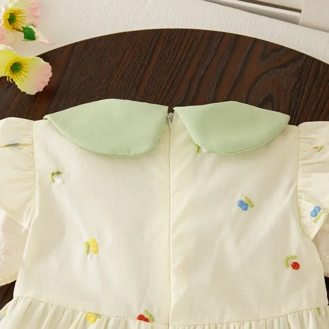Kleinkinderkleid 4