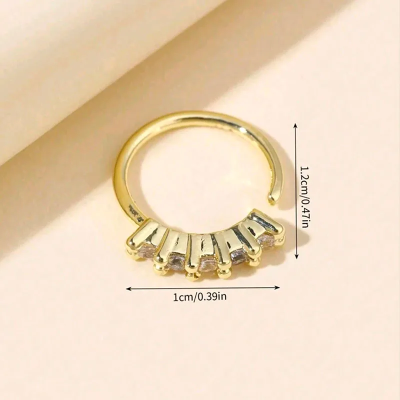 Nasenring 3