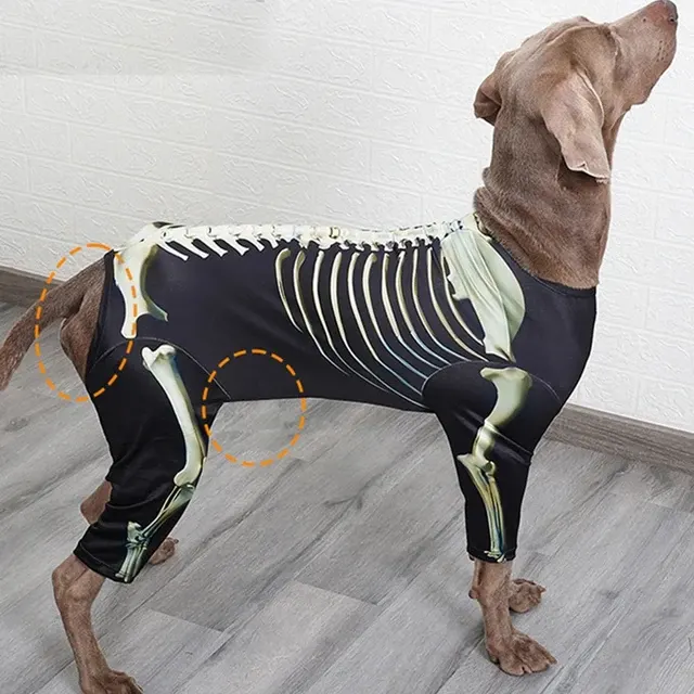 Hunde-Skelett-Kostüm 4