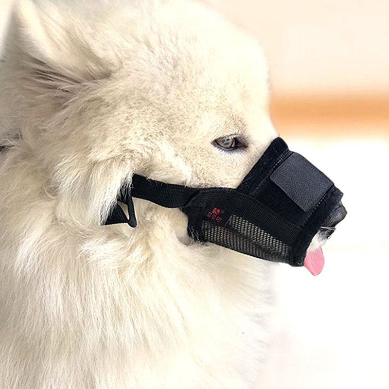 Hunde-Kauschutz