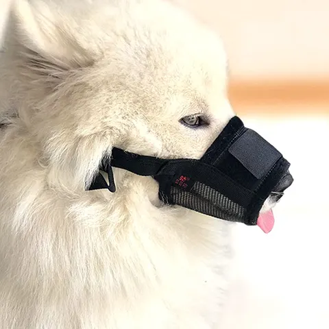 Hunde-Kauschutz