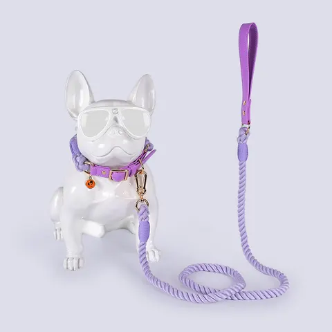 Hundeleine-Halsband-Set